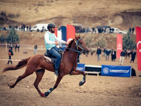 Kuinka suurten urheiluturnausten vaikutus online-kasinopelaajien aktiviteettiin