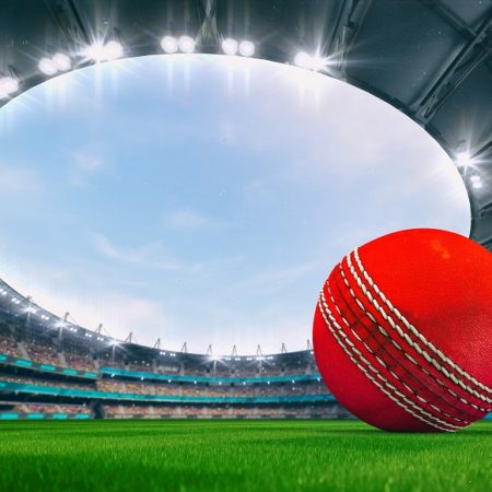 Parkinplay.bet: How To Bet Online On Cricket in 2022