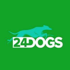 24dogs